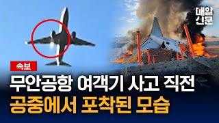 Re: [新聞] 濟州航空墜毀增至62死！乘客最後訊息曝