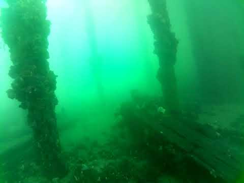 Edithburgh Live by AusOcean 04/02/2023