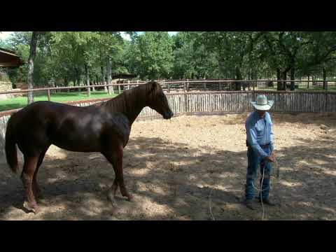 ROUGH CUT: Starting a Stud, Part one