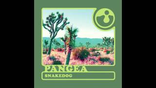 together PANGEA - &quot;Offer&quot; HQ Audio