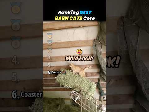 Ranking BEST BARN CATS Core Moments!! 🐱🚜