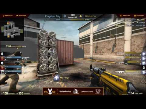 Mad City LAN 2 - Kingdom Pug vs. Winterfox (BO3, Map 1)