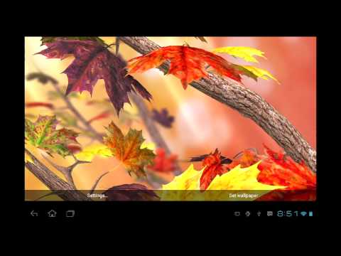 Autumn Tree Free Wallpaper Video
