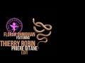 Thierry Robin Prière Gitane Floran Ohniguian Edit