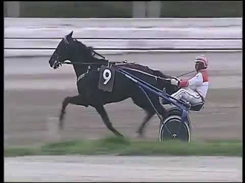 Trotto 06/04/2015 - 7° corsa