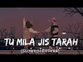 Tu Mila Jis Tarah Saba Mile Slowed Reverb Shafaqat Ali Raaz 3 Lofi Vibes Indian Lofi