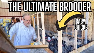 DIY Chicken Brooder Setup | How We Raise Baby Chicks in Our Ultimate Brooders