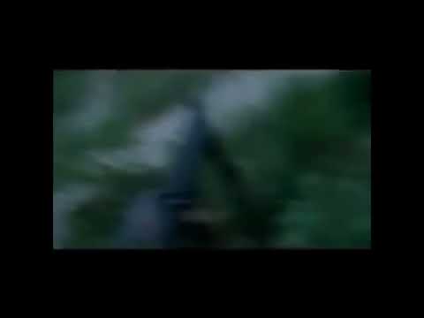 Me respalda el barrio tm Zaiko, toser, nuco, Maniako ft marina de México 🇲🇽