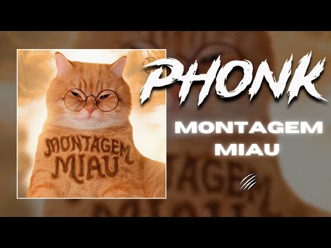 Lenar, Leonardo P - Montagem Miau (NORMAL | SLOWED | SUPER SLOWED |  ULTRA SLOWED)
