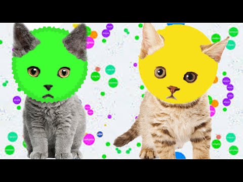 SELAMİ BENİ SATTI - Agar.io'da Tek Başına Kaldım😠