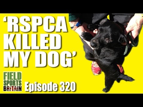Fieldsports Britain – ‘The RSPCA Killed My Dog’ Fieldsports Britain – ‘The RSPCA Killed My Dog’