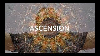Ascension [The Drugo Ja remix]