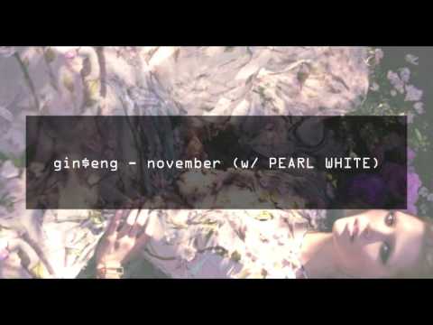 gin$eng - november (w/ PEARL WHITE)