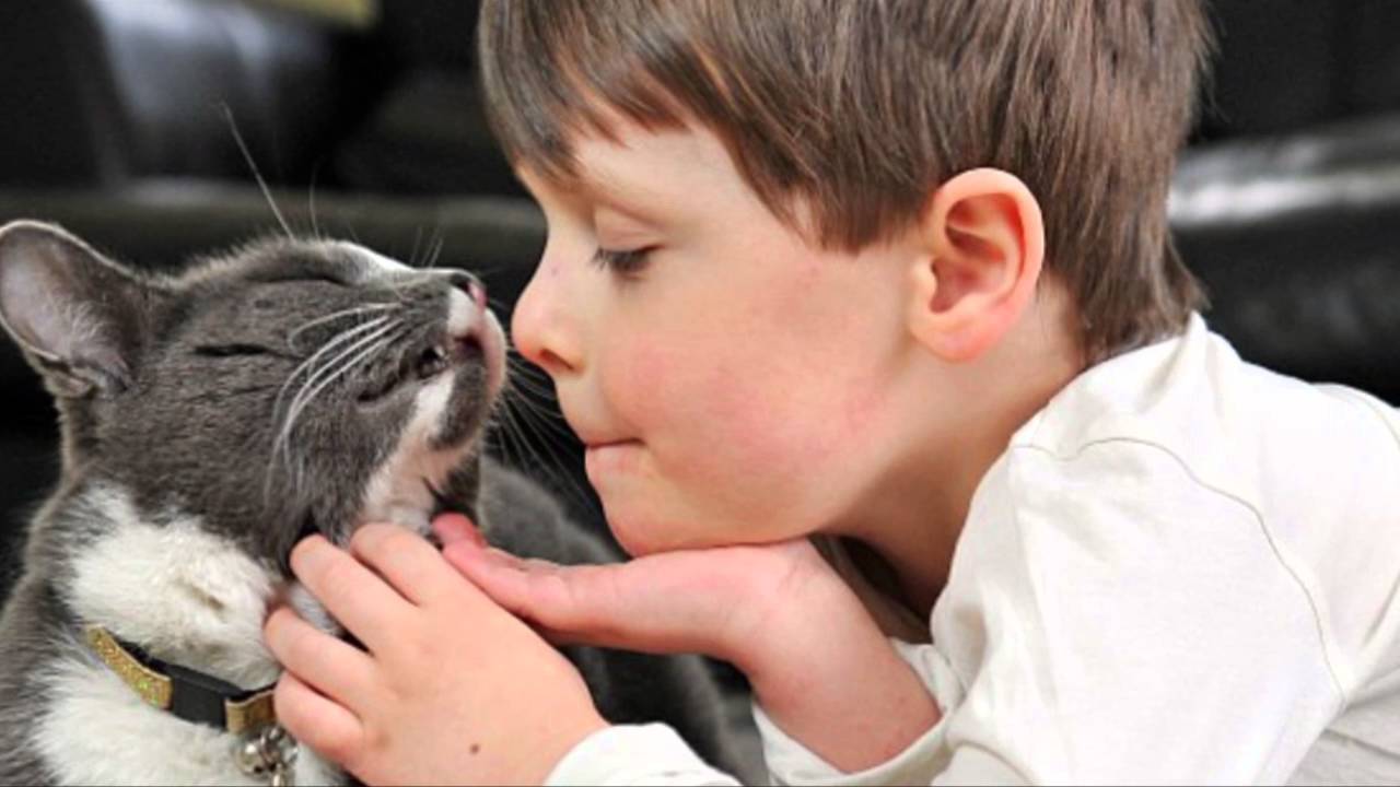 Alberto Monteverde Maldonado-9