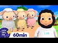 Hickory Dickory Dock More Nursery Rhymes And Kids Songs Little Baby Bum