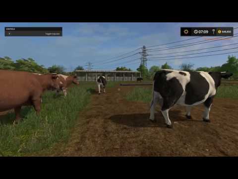 Map Review 28 for Farming Simulator 17  Baldeykino v3.1