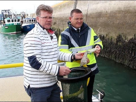 Video thumbnail — Seabin That Collects Plastic Waste Is Launched in Howth Harbour