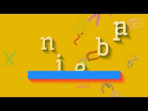 How to say "niebla"! (High Quality Voices)