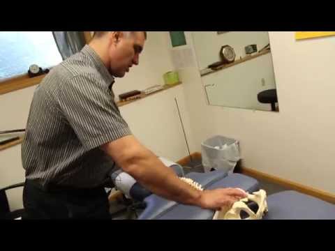 Scoliosis Treatment - Ames Chiropractic Wellness Center - Bangor, Corinna, Lincoln Maine