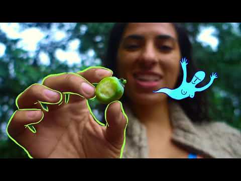 Foraging in Central Park