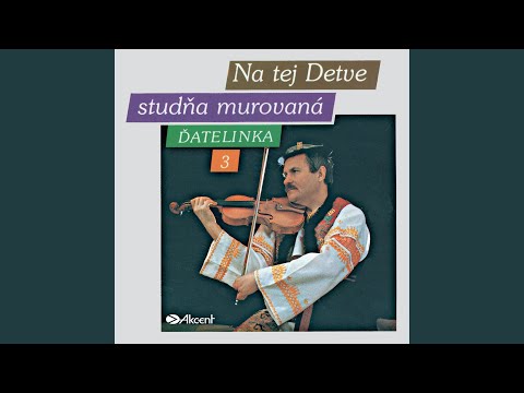 Na tej Detve studňa murovaná