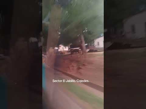 Sector El Jabillo entre Tinaco y Tinaquillo en el estado Cojedes.