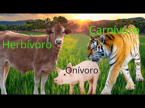 , title : 'Animais herbívoros, carnivoros e onívoros.'