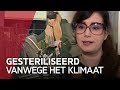 Deze Amsterdammers willen geen kinderen om het klimaat