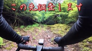 謎の新ルートを調査してみた【グラベルライド】