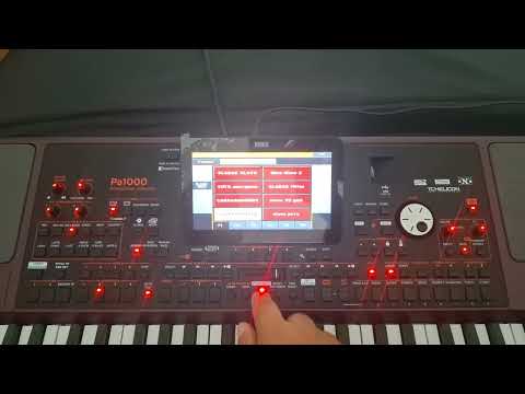 Korg pa 1000 - DG UNIVERSAL OLD SET 🎹