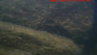 Underwater Inspection Camera Test