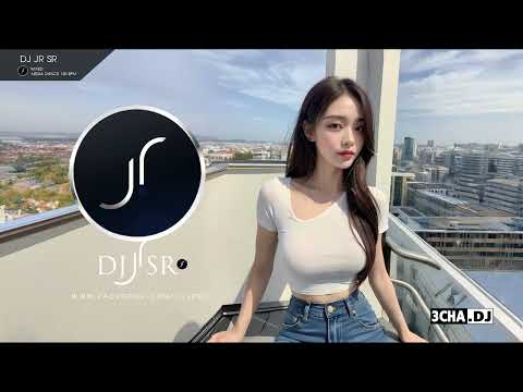 เพลงแดนซ์มันส์ ๆ เบสแน่น ๆ MEGA DANCE EDITION REMIX 2024 NONSTOP [Dj jr SR] Re - Vol.2