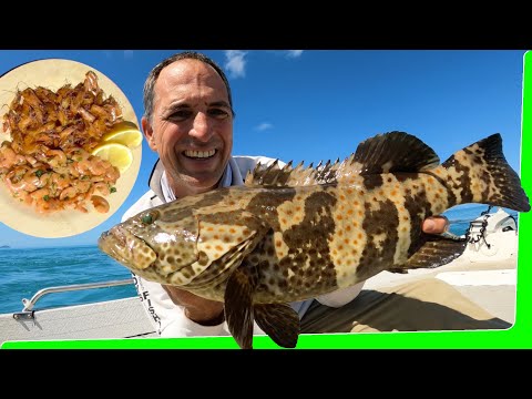 Shrimp Catch and cook with a side of fishing - Solo small boat camping - EP.584
