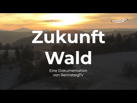 Zukunft Wald | Dokumentation