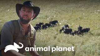 Thumbnail del capítulo