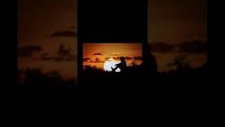 Download lagu STORY WA MALAM MINGGU JOMBLO KEREN 2 #shorts #storyhits #funvideo #fyp mp3 Download lagu STORY WA MALAM MINGGU JOMBLO KEREN 2 #shorts #storyhits #funvideo #fyp mp3