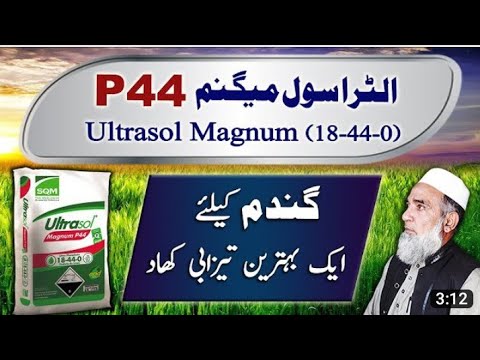 Use of Ultrasol P44 (nitrogen+phosphate)of swat Agro Chemical|Brand product #fertilizer #agriculture
