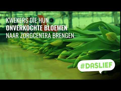 #DASLIEF | Kwekers die bloemen weggeven | SIRE | 2020