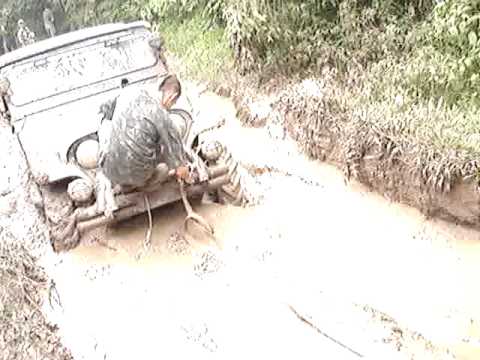 trilha do cachorro loco cachorro loco