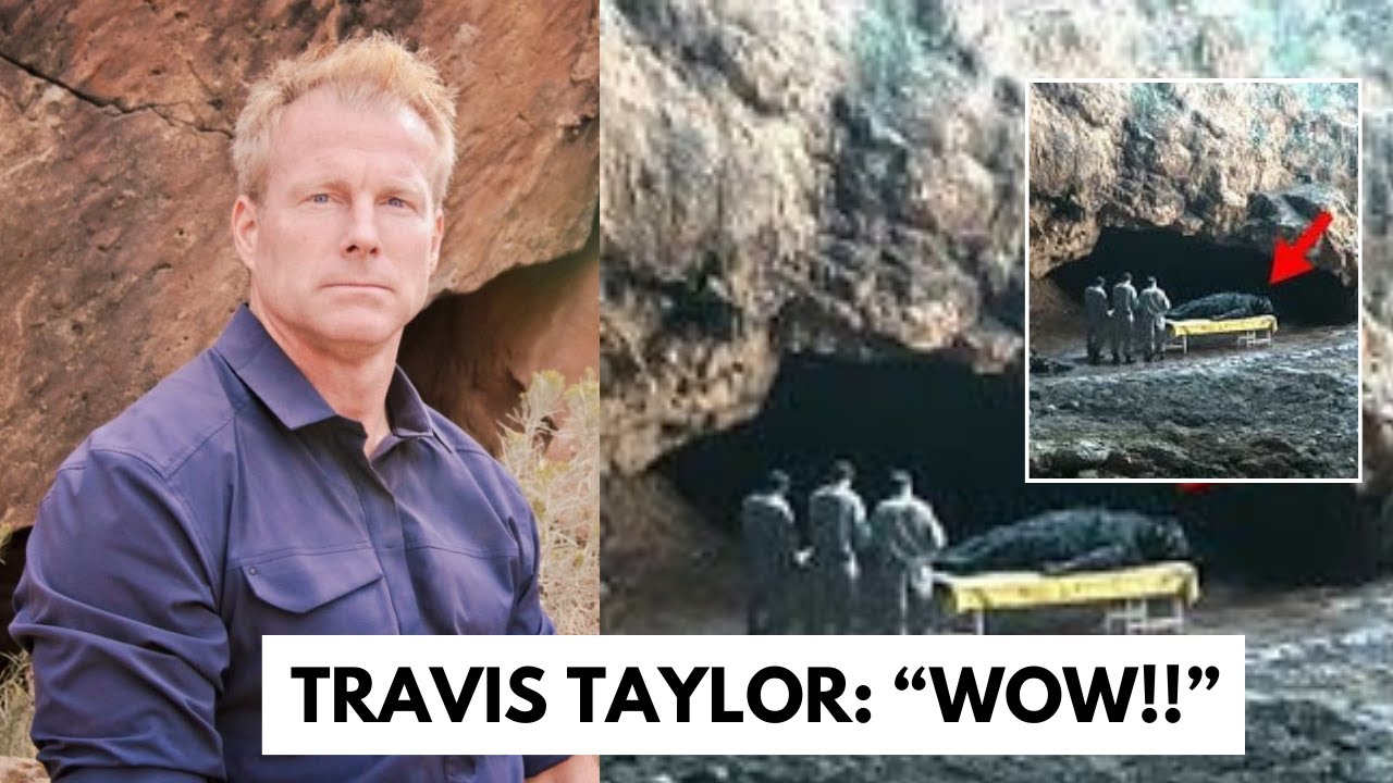 YouTube Thumbnail Downloader FULL HQ IMAGE