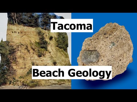 Understanding Beach Geology at Point Defiance Park, Tacoma, Washington