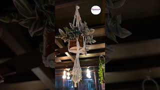 Flamount Arka Studios, Madhapur | Budget Hotel in Hyderabad with Food & Laundry 