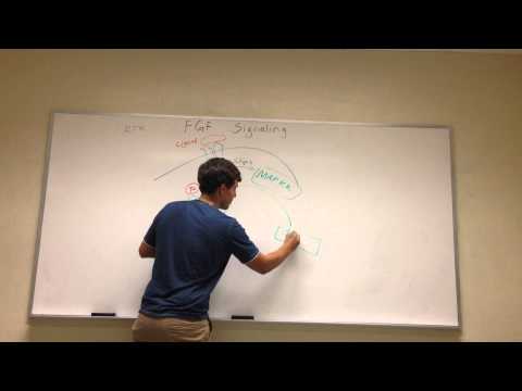 FGF Signaling Pathway