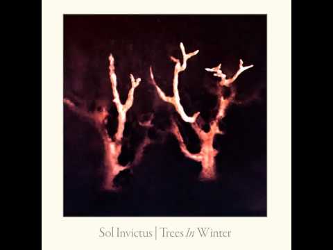 Sol Invictus - Looking For Europe [album version, vocals Ian Read]