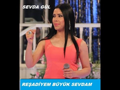 SEVDA GÜL--YOL ÜSTÜNE YUVA YAPMIŞ KARINCA