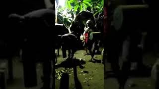 Download lagu lucu bangunin sahur malah di kuburan mp3 Download lagu lucu bangunin sahur malah di kuburan mp3