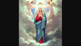 Queen of Peace by Danielle Rose