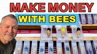 Beekeeping | Turn Your Love of Bees Into Making Money