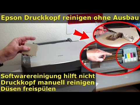 Die Sanatorien auf dem toten Meer die Schuppenflechte der Preis Atopitscheski die Hautentzündung der Zucker oder die Fruktose