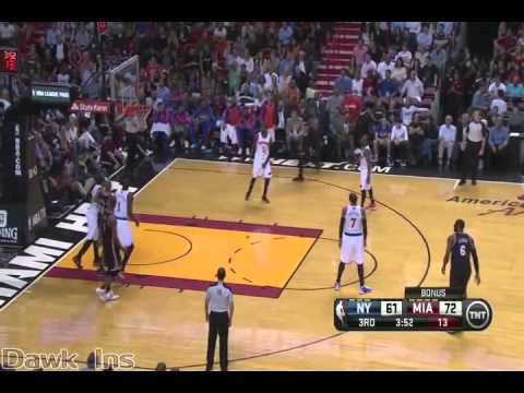 Dwyane Wade Top 10 Plays 2013-14 Regular Season